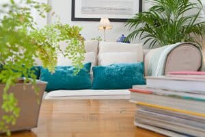 Pleins feux sur les plantes en décoration intérieure