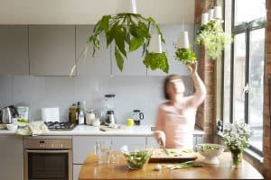 Les fleurs sont suspendus à votre plafond