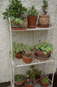 Des idées à piquer pour faire fleurir un petit jardin