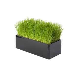 Le gazon prend place dans votre salon