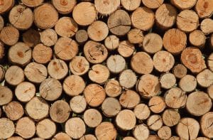 Déco de table: Rondin des bois DIY