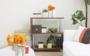 Comment embellir son logement avec des fleurs ?