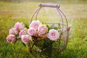 Comment aménager efficacement un petit jardin ?