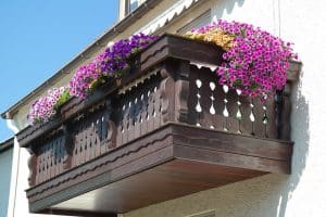 Les différentes plantes à planter à votre balcon