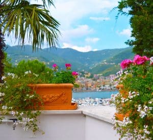 Comment embellir votre balcon grâce à des jardinières de balcon