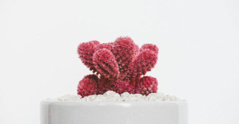 Pourquoi adopter la décoration minimaliste : less is more ?