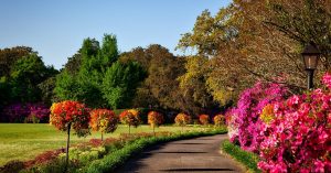 Comment créer un aménagement paysager harmonieux ? découvrez l'art du landscaping pour transformer votre espace extérieur en un oasis de beauté. aménagement paysager, conception de jardins, et astuces pour un extérieur harmonieux et accueillant.