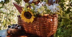découvrez notre collection de décorations d'extérieur écologiques, alliant style et durabilité. transformez votre espace extérieur avec des produits respectueux de l'environnement qui embellissent votre jardin tout en préservant la nature.