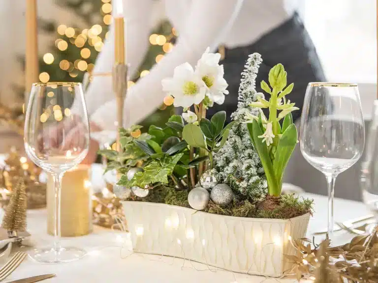 Osez le cactus de Noël : nos conseils pour une déco spectaculaire et originale qui fera sensation