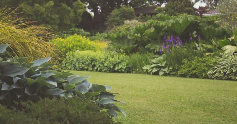 Comment aménager son jardin avec des matériaux naturels ? découvrez l'art du landscaping : aménagez votre extérieur avec créativité et harmonie. transformez votre jardin en un espace de rêve en alliant design, végétation et durabilité.