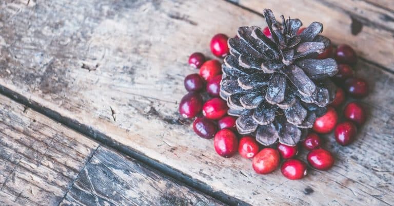 découvrez des idées de décoration inspirées par la nature pour apporter une touche d'harmonie et de sérénité à votre intérieur. explorez des éléments naturels, des couleurs apaisantes et des matériaux durables qui sublimeront votre espace de vie.