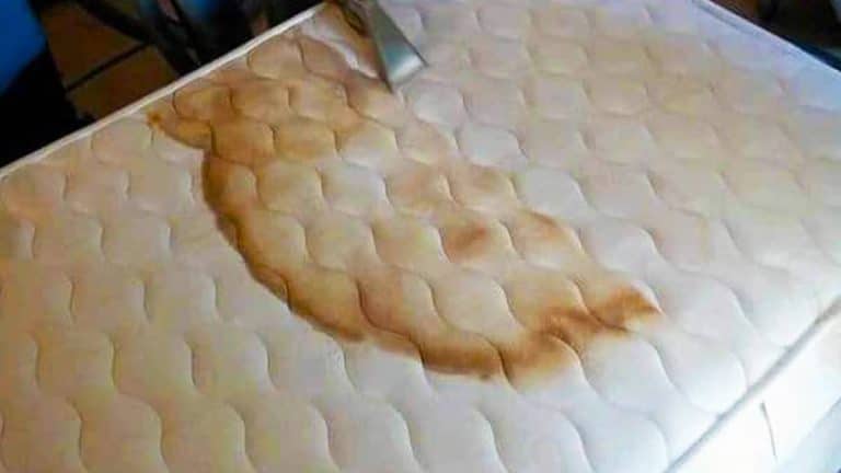 Adieu matelas sale : l’astuce TikTok à 90 000 vues pour désinfecter en 2 heures et sauver vos nuits Adieu matelas sale : l’astuce TikTok à 90 000 vues pour désinfecter en 2 heures et sauver vos nuits