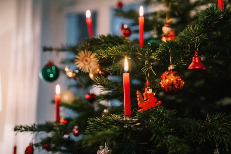 Cette simple erreur peut transformer votre sapin de Noël en véritable brasier dangereux