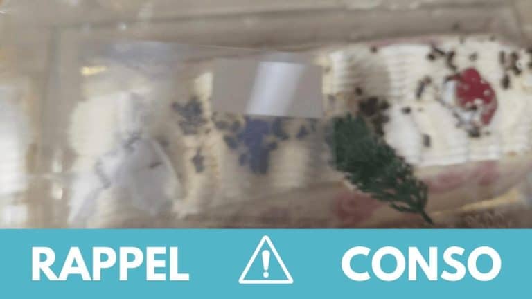 Ces bûches de Noël contaminées par la Listeria : un danger invisible pour vos fêtes endiablées Ces bûches de Noël contaminées par la Listeria : un danger invisible pour vos fêtes endiablées