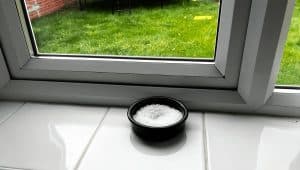 Cet hiver, découvrez pourquoi un simple bol de sel dans votre fenêtre pourrait transformer votre quotidien Cet hiver, découvrez pourquoi un simple bol de sel dans votre fenêtre pourrait transformer votre quotidien