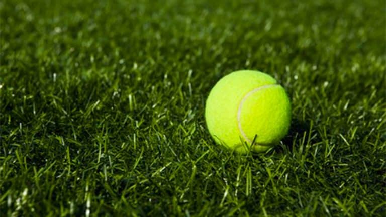 Cet hiver, la balle de tennis sauve vos jardins : la méthode secrète adoptée par des milliers d&rsquo;amoureux des plantes