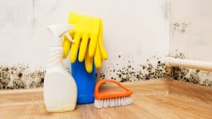 Cette astuce écologique à moins de 5 euros élimine radicalement les taches sur vos murs sans produits chimiques Cette astuce écologique à moins de 5 euros élimine radicalement les taches sur vos murs sans produits chimiques