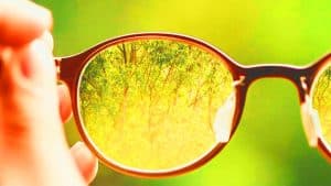 Adieu les rayures : ces deux ingrédients de cuisine transforment vos lunettes en 60 secondes chrono sans débourser un centime