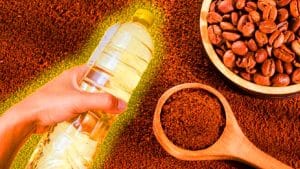 Ce mélange secret de café et de vinaigre élimine 98% des odeurs : votre maison n&rsquo;a jamais été aussi fraîche