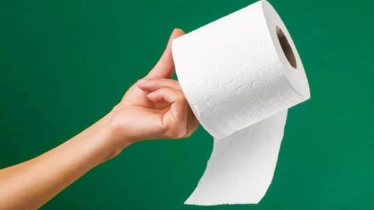 Ce remplaçant du papier toilette promet de révolutionner notre quotidien : 300% plus écologique et ultra-efficace Ce remplaçant du papier toilette promet de révolutionner notre quotidien : 300% plus écologique et ultra-efficace