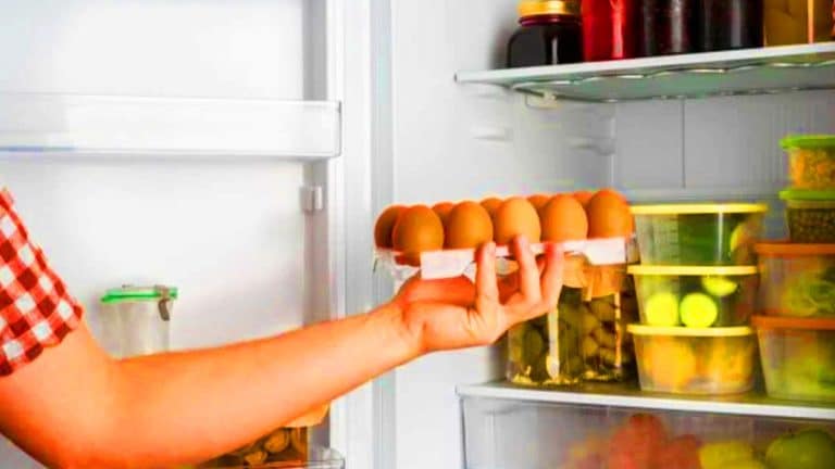 Cette astuce infaillible permet de prolonger la fraîcheur des œufs, révélant leur véritable durée de conservation au frigo Cette astuce infaillible prolonge la fraîcheur de vos œufs jusqu’à 5 semaines : fini le gaspillage dans votre frigo