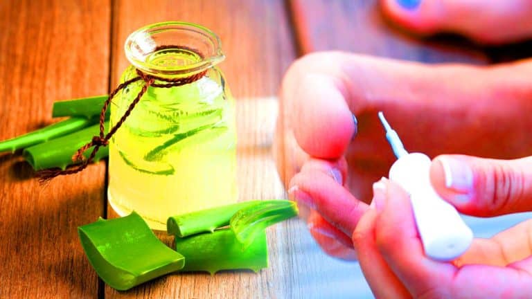 « Ce gel naturel apaise instantanément la douleur » : l’aloe vera pour soigner rapidement une ampoule Cette astuce naturelle à base d’aloe vera promet de soulager vos ampoules en un temps record et sans produits chimiques
