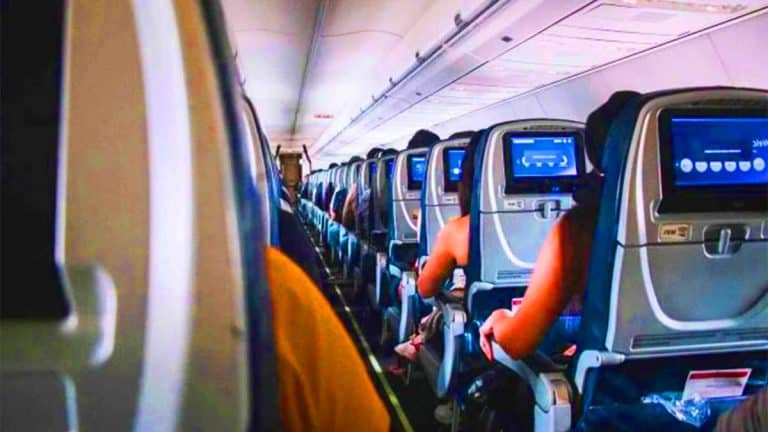 Cette astuce secrète pourrait vous offrir un siège premium en avion sans débourser plus : le pouvoir du « Check-In Chicken » Cette astuce secrète pourrait vous offrir un siège premium en avion sans débourser plus : le pouvoir du « Check-In Chicken »