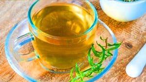 Cette infusion au romarin cache des bienfaits étonnants qui pourraient radicalement améliorer votre santé Cette infusion au romarin pourrait révolutionner votre santé : 7 bienfaits étonnants à découvrir absolument
