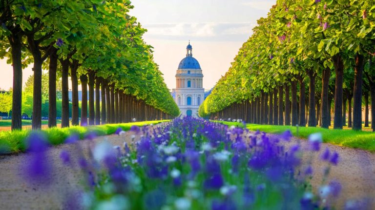 Ce prénom floral, en essor depuis 2009 avec 915 naissances en Seine-Saint-Denis, est le must-have du printemps 2025