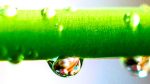 Ce secret d&rsquo;arrosage vous promet des plantes éclatantes : découvrez quand et comment les hydrater pour un jardin resplendissant