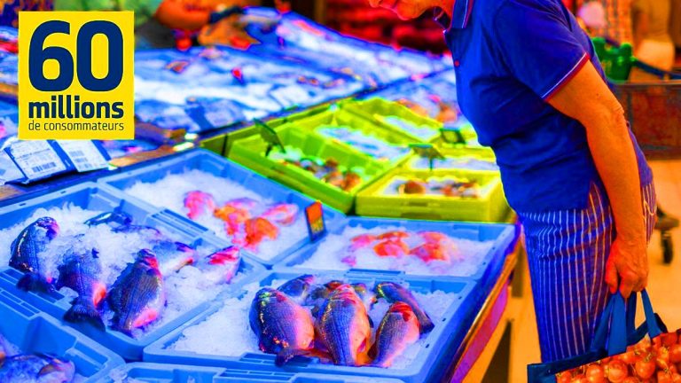 60 Millions de consommateurs dévoile le supermarché numéro 1 pour acheter du poisson frais sans se tromper Ce titan des supermarchés surpasse ses rivaux : Monoprix couronné roi du cabillaud et Lidl exulte au sommet du thon