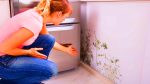 Cette astuce magique des pros élimine l&rsquo;humidité des murs en 10 secondes chrono : fini les taches disgracieuses et les soucis santé