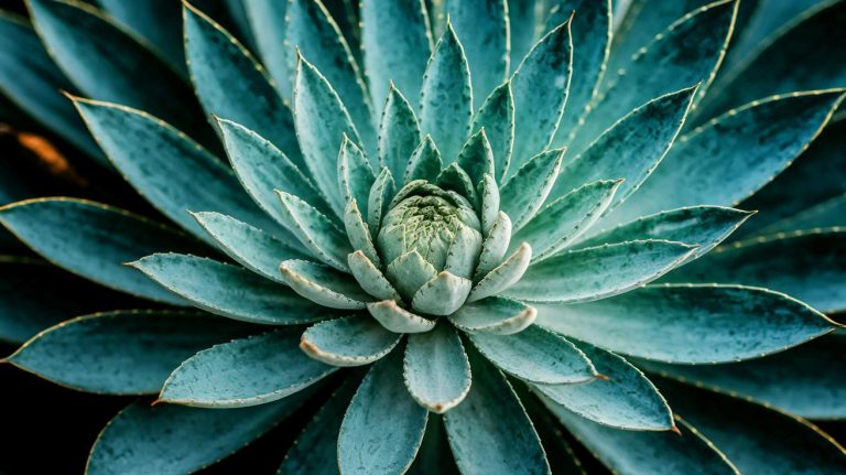 « Danger dans votre jardin » : cette plante commune devient illégale, gare aux 150 000 euros d'amende pour les retardataires
