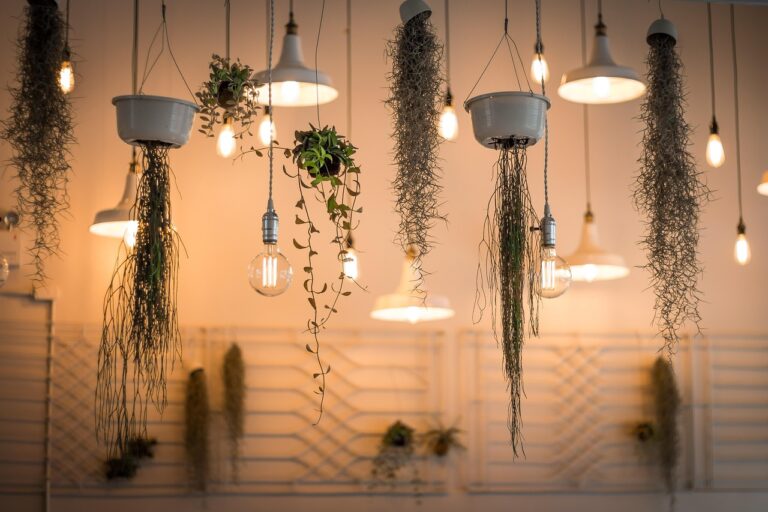 « J’ai transformé mon salon en paradis bohème sans dépenser un centime » : découvrez ces astuces déco qui transforment tout sans rien changer
