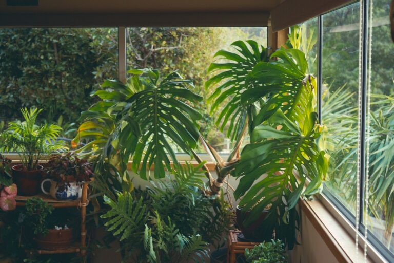Utiliser les plantes pour sublimer votre décoration intérieure