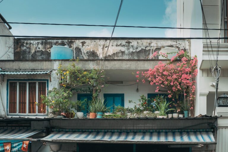 Les meilleures plantes pour purifier l’air et décorer naturellement