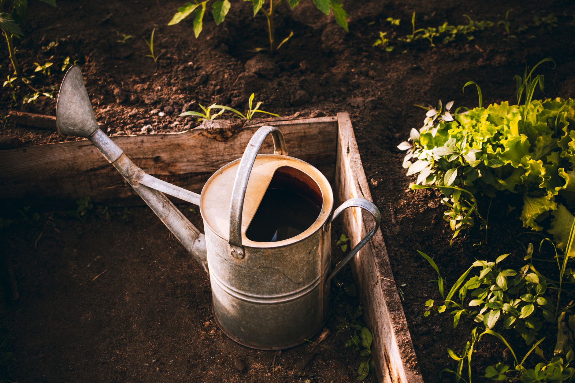 Un carré potager monté avec d’anciennes lames de clôture, sans béton