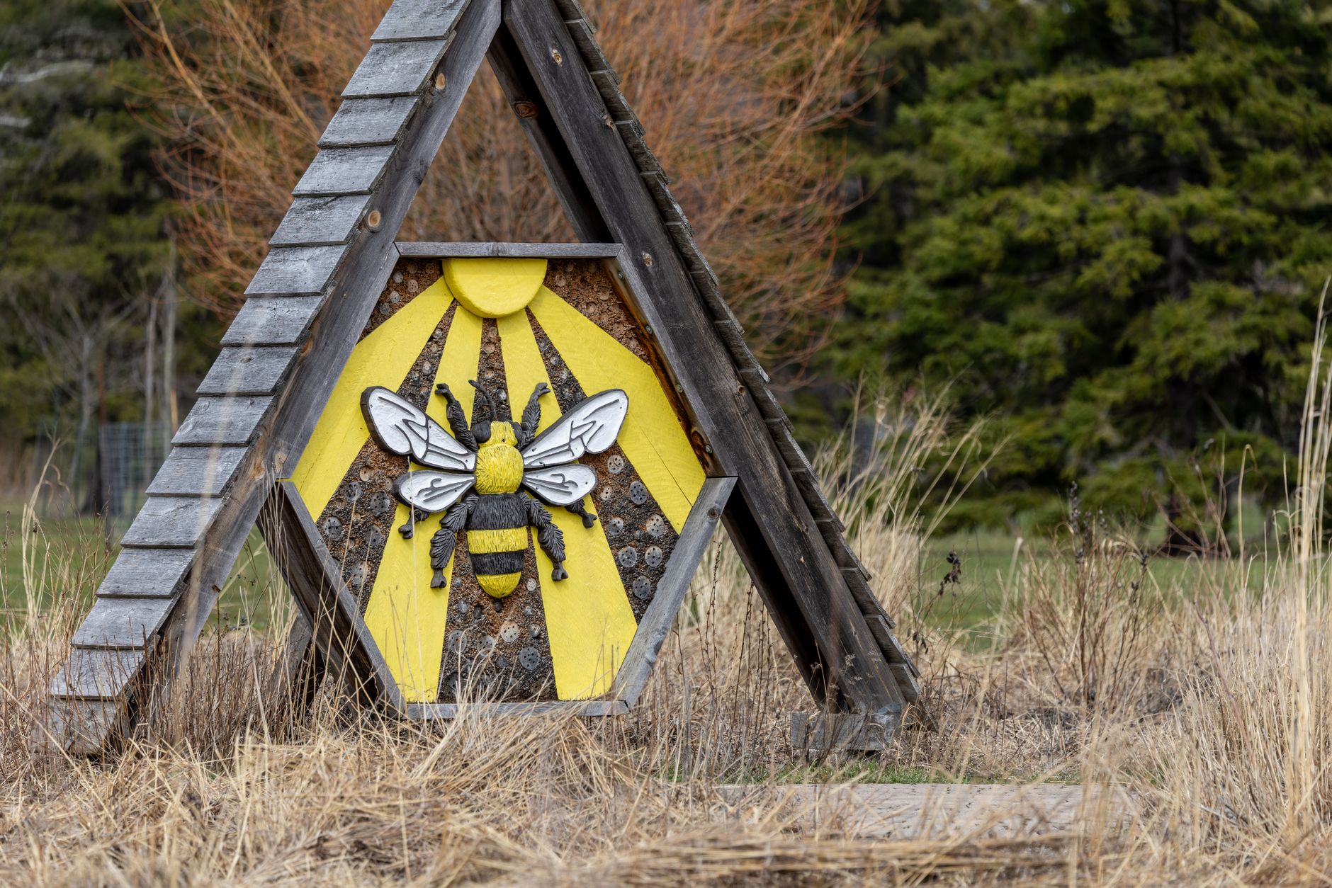 Hôtel à insectes en bois triangulaire orné d’une abeille jaune et noire, posé dans des herbes sèches devant des conifères.