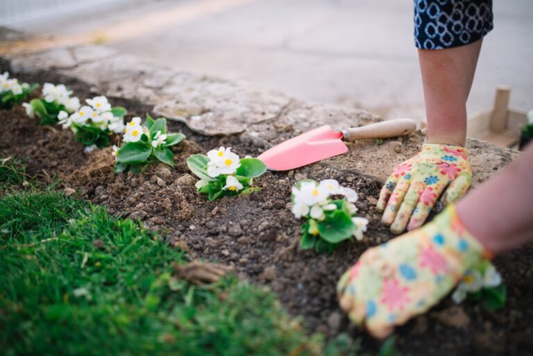 Planter bulbes et arbustes à l’automne pour un massif fleuri dès mars
