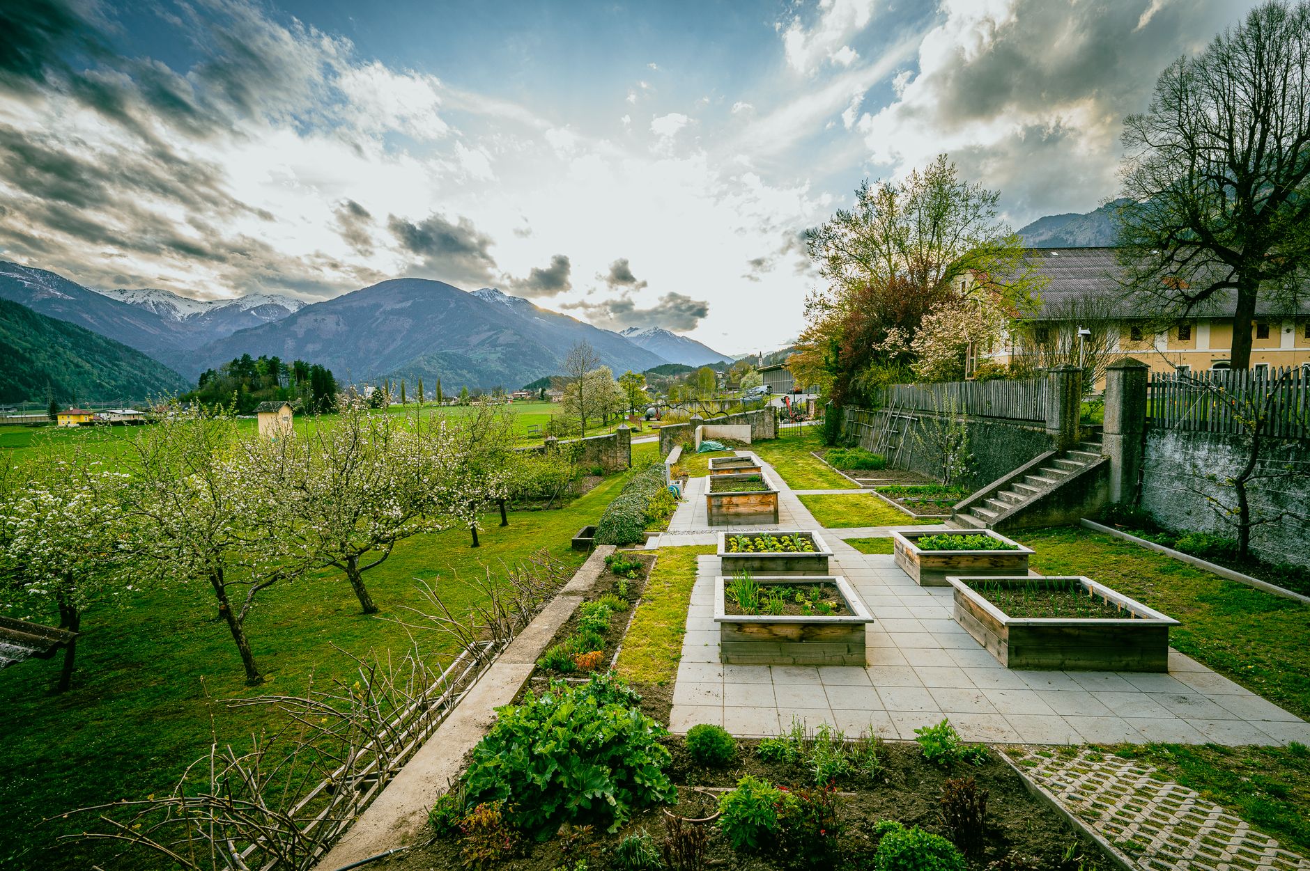 Plusieurs bacs potagers surélevés en bois sur une allée dallée, dans un jardin en pente avec arbres en fleurs et montagnes au loin.